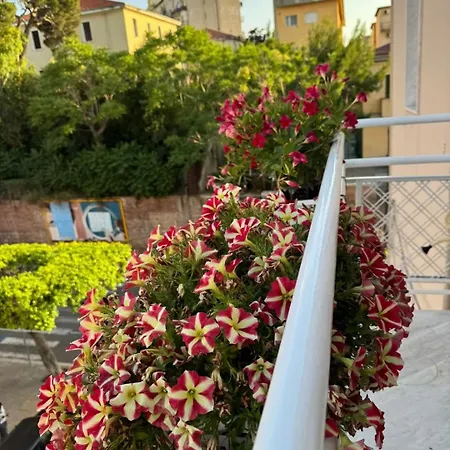 House On Sunday Sole Crotone