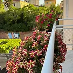 House On Sunday Sole Crotone
